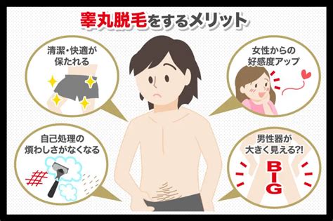 金玉 毛 脱毛|男性器の玉の部分の脱毛って危険！？ 睾丸脱毛の無。